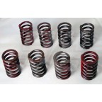 Image for VALVE SPRING SET MGB (NOT OE)