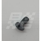 Image for Brake disc screw MG HS