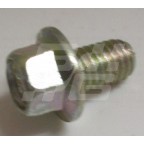 Image for Flanged set screw