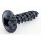 Image for SCREW POLYMA RV8