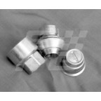 Image for LOCKING WHEELNUT KIT