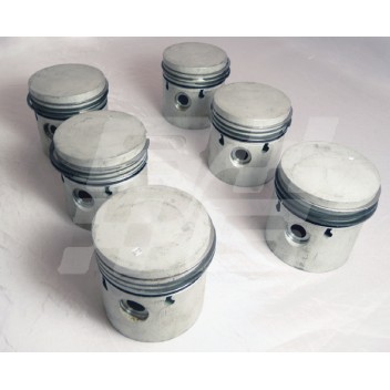 Image for PISTON SET STD MGC 4 ring type