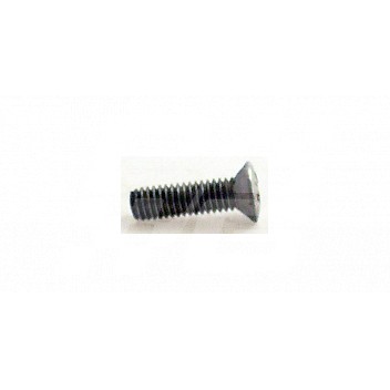 Image for CHROME HEADLAMP RIM SCREW TD