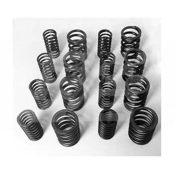 Image for VALVE SPRINGS RACE/RALLY MGA/B