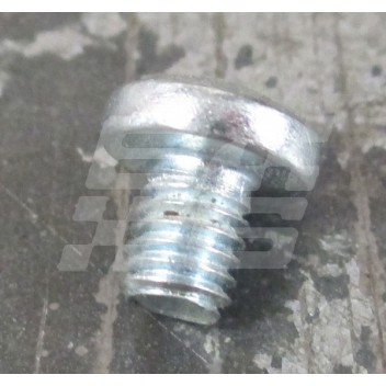 Image for POZI SCREW 10-UNF x 1/4 INCH