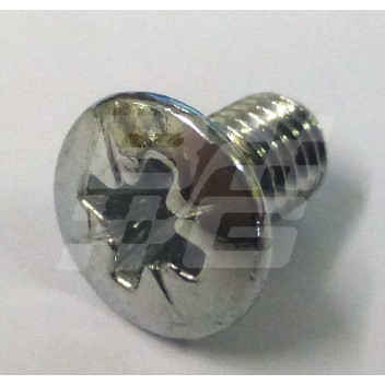 Image for CHROME SCREW