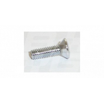 Image for CHROME SCREW