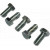 Image for SCREW 5/16 INCH UNF x 0.75 INCH