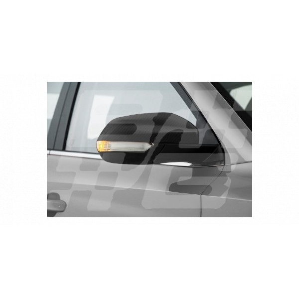 Image for Carbon fibre style Mirror Cap ZS LH