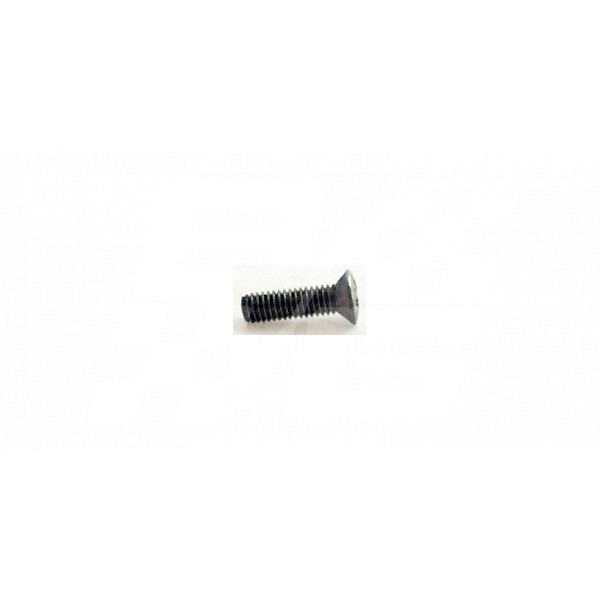 Image for CHROME HEADLAMP RIM SCREW TD