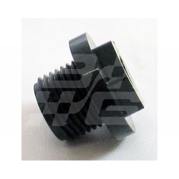 Image for PLASTIC RADIATOR PLUG