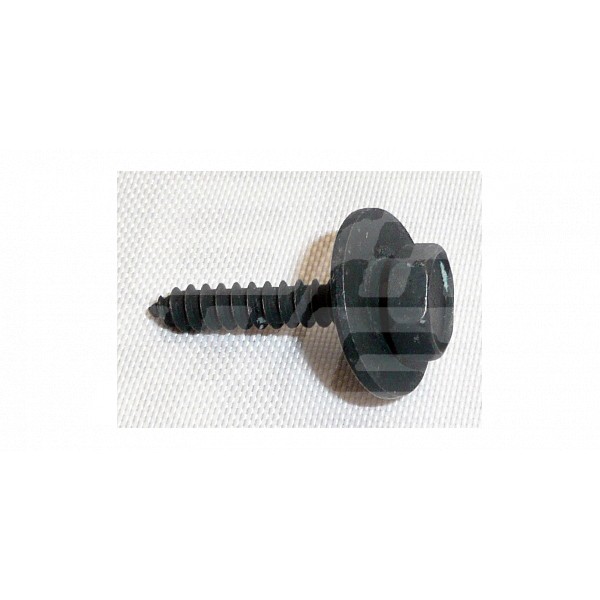 Image for SCREW