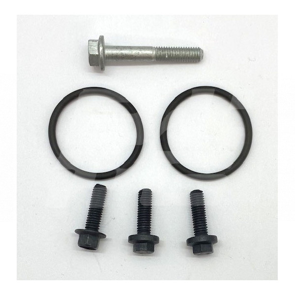 Image for Thermostat housing bolt & Seal Kit