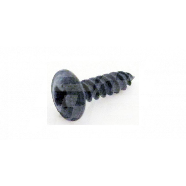 Image for SCREW POLYMA RV8