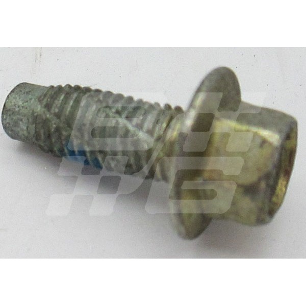 Image for Screw flanged (Thread cleaning)